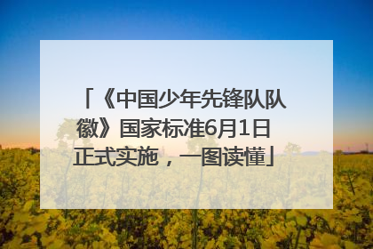 《中国少年先锋队队徽》国家标准6月1日正式实施，一图读懂