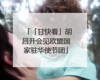 「甘快看」胡昌升会见欧盟国家驻华使节团
