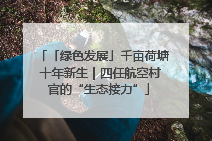 「绿色发展」千亩荷塘 十年新生｜四任航空村官的“生态接力”