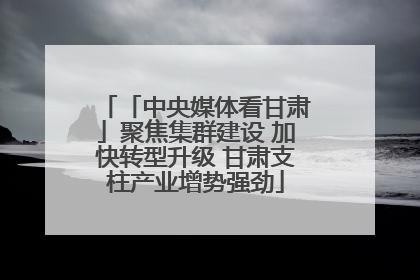 「中央媒体看甘肃」聚焦集群建设 加快转型升级 甘肃支柱产业增势强劲