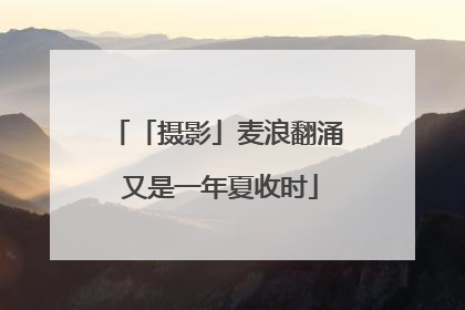 「摄影」麦浪翻涌 又是一年夏收时