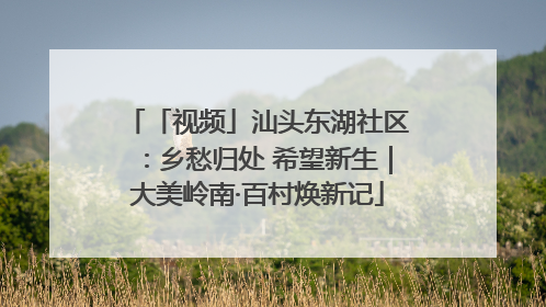 「视频」汕头东湖社区：乡愁归处 希望新生｜大美岭南·百村焕新记
