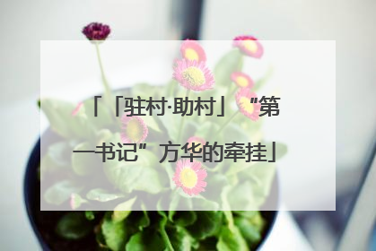 「驻村·助村」“第一书记”方华的牵挂