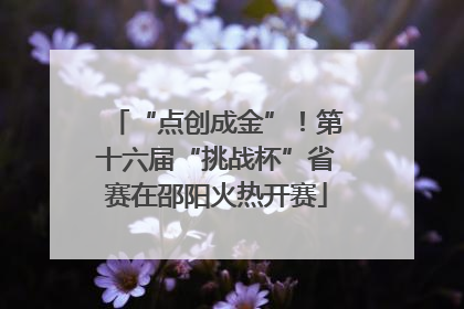 “点创成金”！第十六届“挑战杯”省赛在邵阳火热开赛