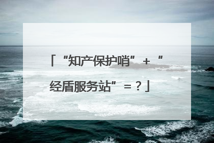 “知产保护哨”+“经盾服务站”=？