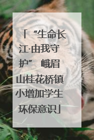 “生命长江·由我守护” 峨眉山桂花桥镇小增加学生环保意识