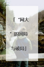 “网大”的困局与破局