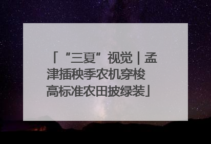 “三夏”视觉｜孟津插秧季农机穿梭 高标准农田披绿装