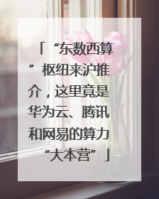 “东数西算”枢纽来沪推介，这里竟是华为云、腾讯和网易的算力“大本营”
