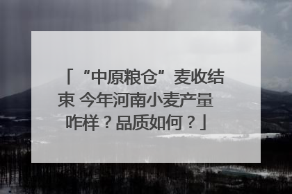 “中原粮仓”麦收结束 今年河南小麦产量咋样？品质如何？