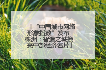 “中国城市网络形象指数”发布 株洲：智造之城擦亮中部经济名片