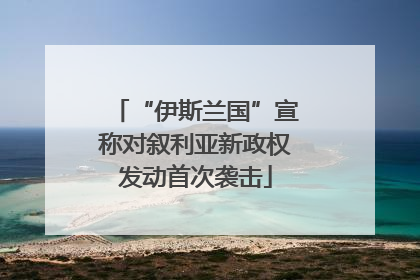 “伊斯兰国”宣称对叙利亚新政权发动首次袭击