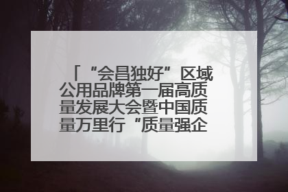 “会昌独好”区域公用品牌第一届高质量发展大会暨中国质量万里行“质量强企•质品行动”进会昌启动仪式成功举办