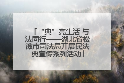 “典”亮生活 与法同行——湖北省松滋市司法局开展民法典宣传系列活动