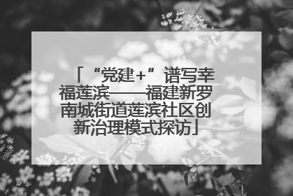 “党建+”谱写幸福莲滨——福建新罗南城街道莲滨社区创新治理模式探访