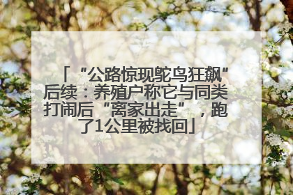 “公路惊现鸵鸟狂飙”后续：养殖户称它与同类打闹后“离家出走”，跑了1公里被找回