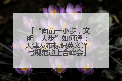 “向前一小步，文明一大步”如何译：天津发布标识英文译写规范迎上合峰会
