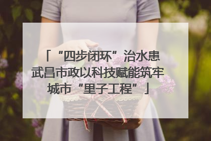 “四步闭环”治水患 武昌市政以科技赋能筑牢城市“里子工程”