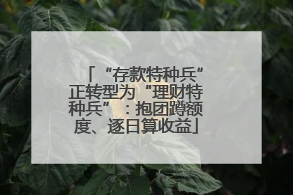 “存款特种兵”正转型为“理财特种兵”：抱团蹲额度、逐日算收益