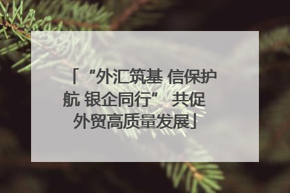 “外汇筑基 信保护航 银企同行” 共促外贸高质量发展