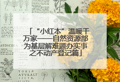 “小红本”温暖千万家——自然资源部为基层解难题办实事之不动产登记篇