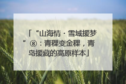 “山海情・雪域援梦”⑧：青稞变金稞，青岛援藏的高原样本