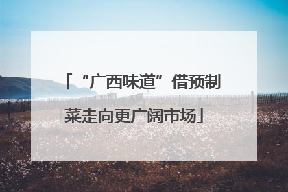 “广西味道”借预制菜走向更广阔市场