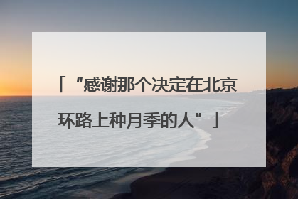 “感谢那个决定在北京环路上种月季的人”