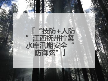 “技防+人防”江西抚州拧紧水库汛期安全“防御弦”