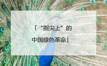 “指尖上”的中国绿色革命