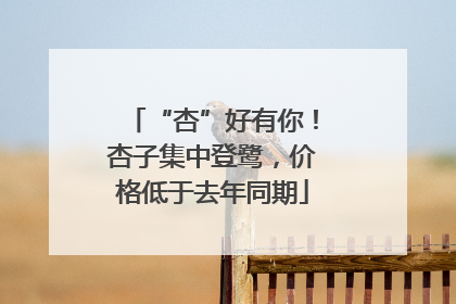 “杏”好有你！杏子集中登鹭，价格低于去年同期