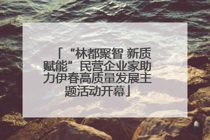 “林都聚智 新质赋能”民营企业家助力伊春高质量发展主题活动开幕