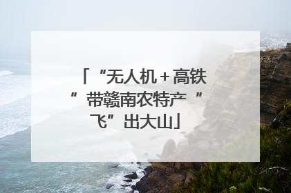“无人机＋高铁”带赣南农特产“飞”出大山