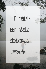“楚小田”农业生态链品牌发布