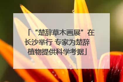 “楚辞草木画展”在长沙举行 专家为楚辞植物提供科学考据