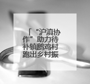“沪滇协作”助力待补镇鹧鸡村跑出乡村振兴“加速度”