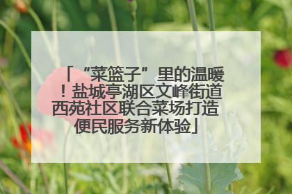 “菜篮子”里的温暖！盐城亭湖区文峰街道西苑社区联合菜场打造便民服务新体验