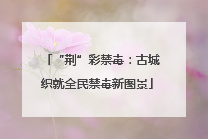 “荆”彩禁毒：古城织就全民禁毒新图景