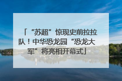 “苏超”惊现史前拉拉队！中华恐龙园“恐龙大军”将亮相开幕式