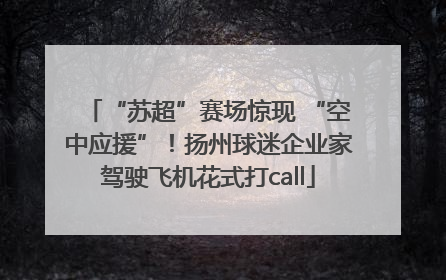 “苏超”赛场惊现 “空中应援”！扬州球迷企业家驾驶飞机花式打call