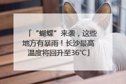“蝴蝶”来袭，这些地方有暴雨！长沙最高温度将回升至36℃
