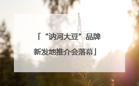 “讷河大豆”品牌新发地推介会落幕