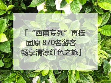 “西南专列”再抵固原 870名游客畅享清凉红色之旅
