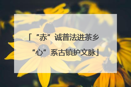 “赤”诚普法进茶乡 “心”系古镇护文脉