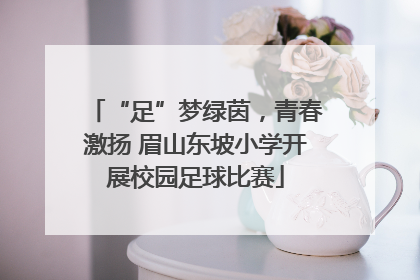 “足”梦绿茵，青春激扬 眉山东坡小学开展校园足球比赛