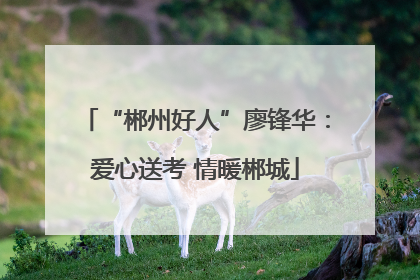 “郴州好人”廖锋华：爱心送考 情暖郴城