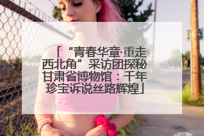 “青春华章·重走西北角”采访团探秘甘肃省博物馆：千年珍宝诉说丝路辉煌