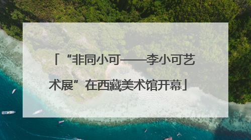 “非同小可——李小可艺术展”在西藏美术馆开幕