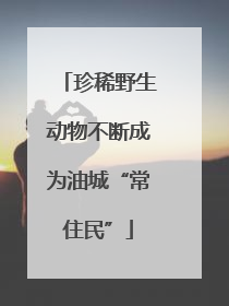 珍稀野生动物不断成为油城“常住民”
