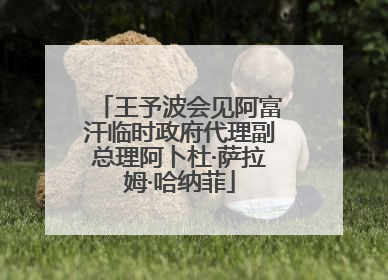 王予波会见阿富汗临时政府代理副总理阿卜杜·萨拉姆·哈纳菲